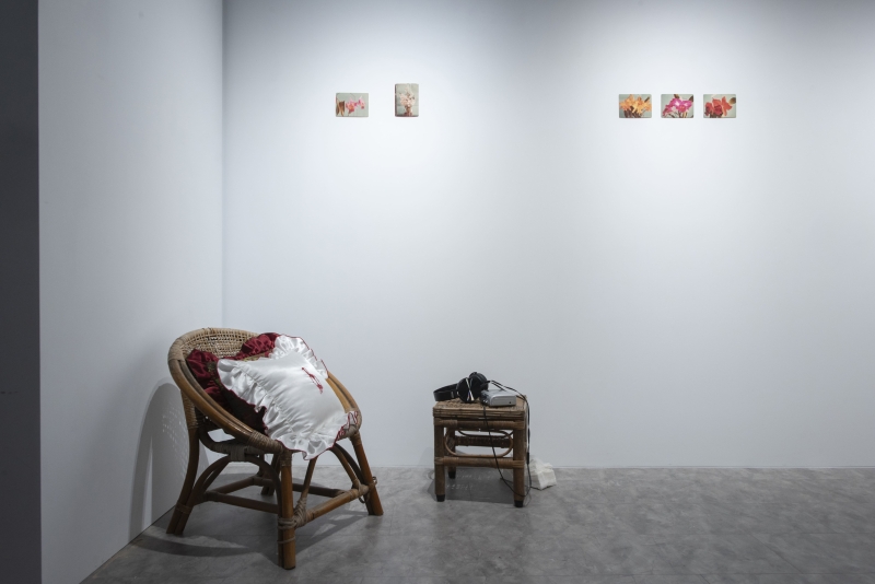 那些死過人的樹，都被做成衛生紙 －羅硯澤創作個展｜米豆藝術空間｜國藝會補助成果檔案庫